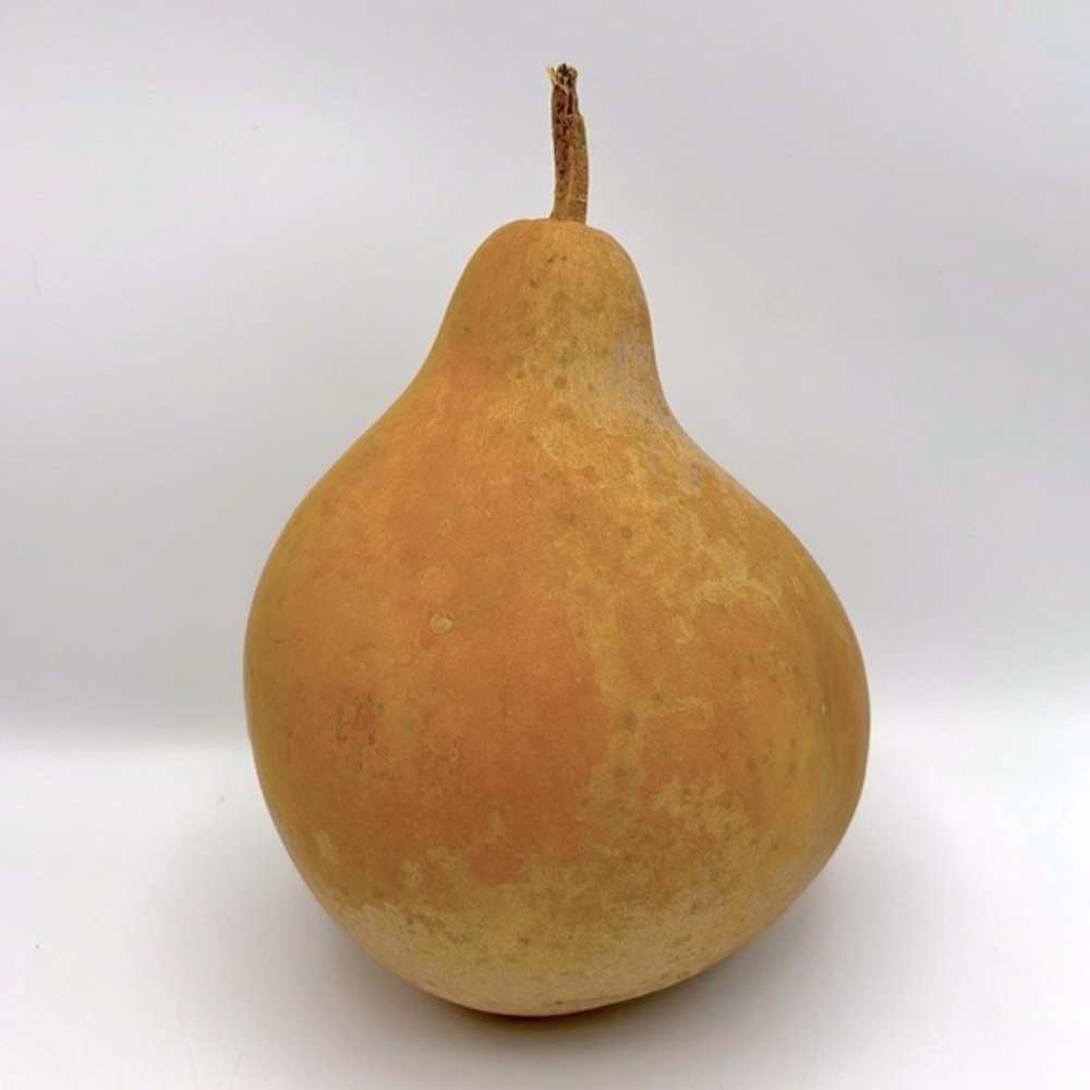 Clean Dried Natural Gourd 
ARTS & CRAFTS Project Ready ~ 
Birdhouse Style